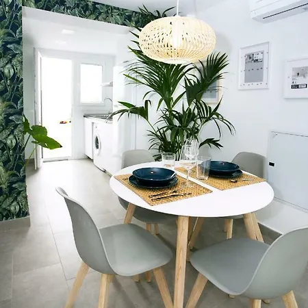 Monko - Coco & Tropycal O *