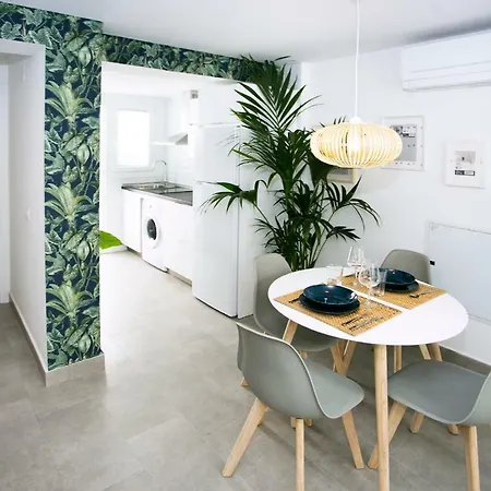 Monko - Coco & Tropycal O *