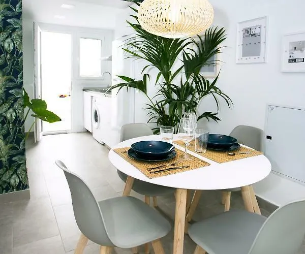 Monko - Coco & Tropycal O *